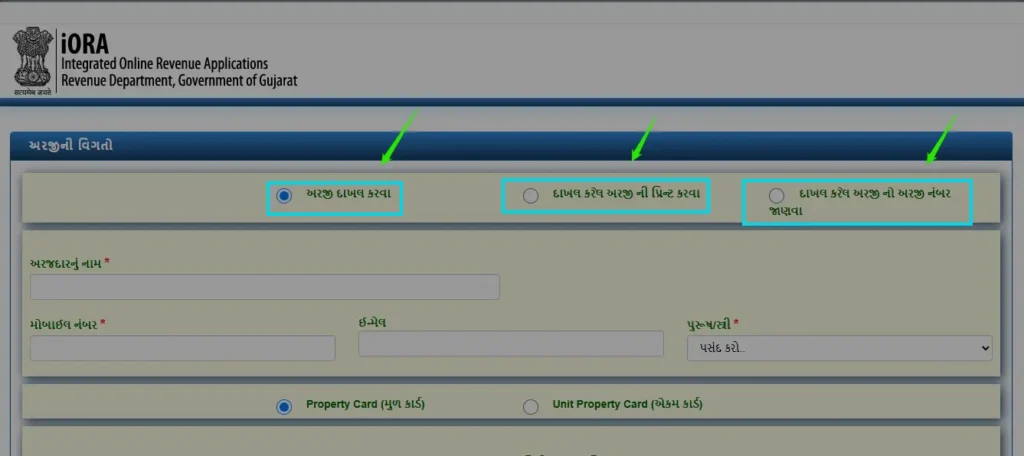 enter application detail